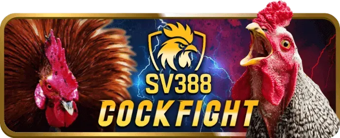 Ưu đãi chào mừng vf55 nổ hũ